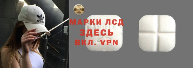 эйфоретик Дмитриев
