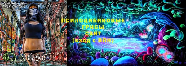 эйфоретик Дмитриев