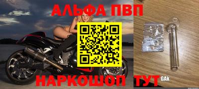 Альфа ПВП Кингисепп
