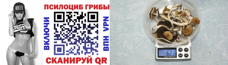 Псилоцибиновые грибы GOLDEN TEACHER  Елабуга 