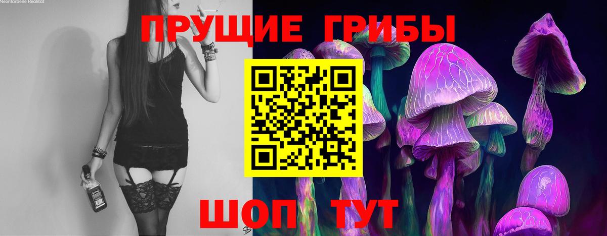 Псилоцибиновые грибы ЛСД Елабуга